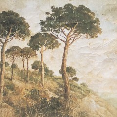 GARRIGUE (120x120cm) GARRIGUE (120x120cm)